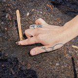 Modern Sprout Bumble Bee Seed Pop