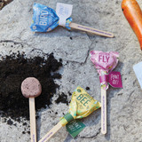 Modern Sprout Butterfly Seed Pop