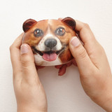 Kikkerland Corgi Dog Stress Ball SB03 A Action 1 front view