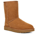 Ugg Women's Classic Short II Boots in Chestnut front view