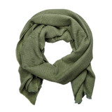 Pistil Women's Lexi Scarf in Olive