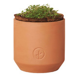 Modern Sprout Tiny Terracotta Growing Kit