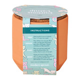 Modern Sprout Tiny Terracotta Growing Kit displayed at angle view