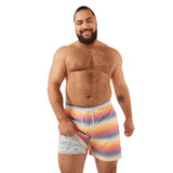 Chubbies Men's The Malibu Sunsets 5.5" Classic Lined Swim Trunks