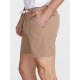 Chubbies Men's Tahoes 6" Lined Everywear Performance Shorts