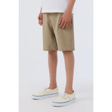 The O'Neill Boy's Reserve Heather Hybrid Print Shorts in Khaki