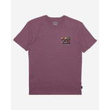 Billabong Toddlers' Bbtv Short Sleeve T-Shirt in Plum colorway
