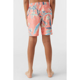 The O'Neill Boys' Hermosa Crew 16" Volley Boardshorts in Coral colorway
