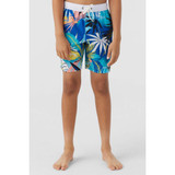 The O'Neill Boys' Hermosa Crew 16" Volley Boardshorts in Multi colorway