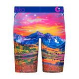 The Ethika Men's Staple Boxer Briefs in the Magic Mushies Pattern