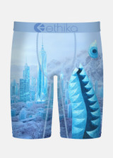 Ethika Men's Print Staple Boxer Briefs in Bomber City of Stillness