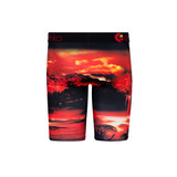 The Ethika Boys' Staple Boxer Briefs in the Dark Safari Pattern