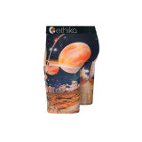 The Ethika Boys' Staple Boxer Briefs in the Westerlust Pattern