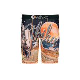 The Ethika Boys' Staple Boxer Briefs in the Westerlust Pattern