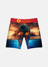 Ethika Boys' Staple Boxer Briefs in Skol Island