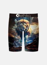 Ethika Boys' Staple Boxer Briefs in the Lion Hearted Pattern