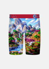 Ethika Boys' Staple Boxer Briefs in Block Bound