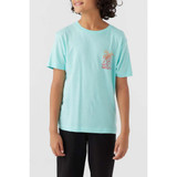 O'Neill Boys' Rippable Tee in Turquoise colorway