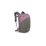 The Osprey Nebula 32 Liter Backpack in Pink