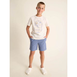 The Chubbies Boys' Ice Caps Everywear Performance Shorts in the Dusty Blue colorway