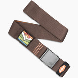 The Arcade Belts DDC Go Easy Elastic Belt in Brown