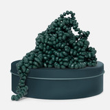 The Speks Crags Matte Magnetic Putty in Jade Green