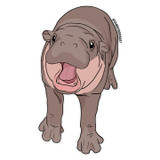 The Sammy Gorin Moo Deng Hippo Sticker