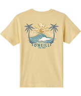 The O'Neill Boys' Carver Tee in in Yellow
