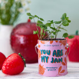 Modern Sprout Complimentary Colors Grow Kits - You Are My Jame