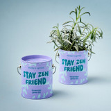 Modern Sprout Complimentary Colors Grow Kits - Stay Zen Friend