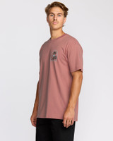 Billabong Men's Portal Premium T-Shirt in Dusty Rose front