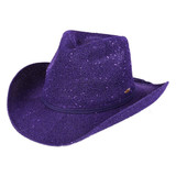 Sequin CC Cowboy Hat in Purple front view