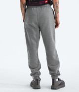 The North Face Men's Evolution Simple Dome Joggers in Mid Grey back view