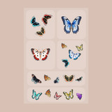 Barriere Brains and Beauty Vitamin Patches