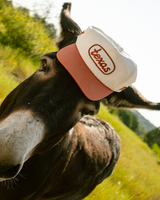 Mañana Texas Two-Tone Snapback Hat in Cream and Orange badge detail