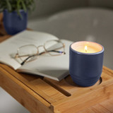 Modern Sprout Violet Hour Candle Plant side angle