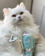 Haute Diggity Dog Kitty Snuggly Cup 3-Pack Cat Toys