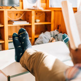 Darn Tough Men's Duck Duck Moose Crew Lightweight Socks