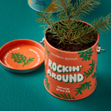 Modern Sprout Holiday Complimentary Colors Grow Kit - Rockin Around / Spruce