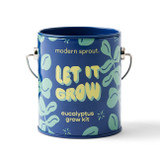 Modern Sprout Holiday Complimentary Colors Grow Kit - Let It Grow / Eucalyptus