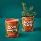 Modern Sprout Holiday Complimentary Colors Grow Kit - Rockin Around / Spruce