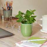 Modern Sprout Last Light 2-in-1 Candle Planter - In The Weeds
