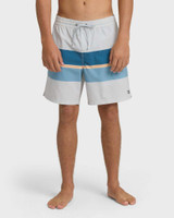 Billabong Good Times Layback Trunks Silver side