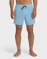 The Billabong Men's Every Other Day Wave Washed Layback Trunks in Corydalis Blue