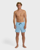The Billabong Men's Every Other Day Wave Washed Layback Trunks in Corydalis Blue