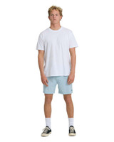 Billabong Men's Crossfire Submersible 17" Hybrid Shorts in Light Blue