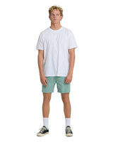 Billabong Men's Crossfire Submersible 17" Hybrid Shorts in Mist Green