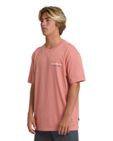 Billabong Men's Tailgating Premium Short Sleeve T-Shirt Ash Rose back view