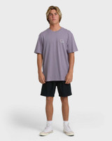 The Billabong Men's Andes Adiv Premium Short Sleeve T-Shirt in Purple Ash