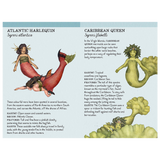 Quarto Match The Mermaids Memory Game